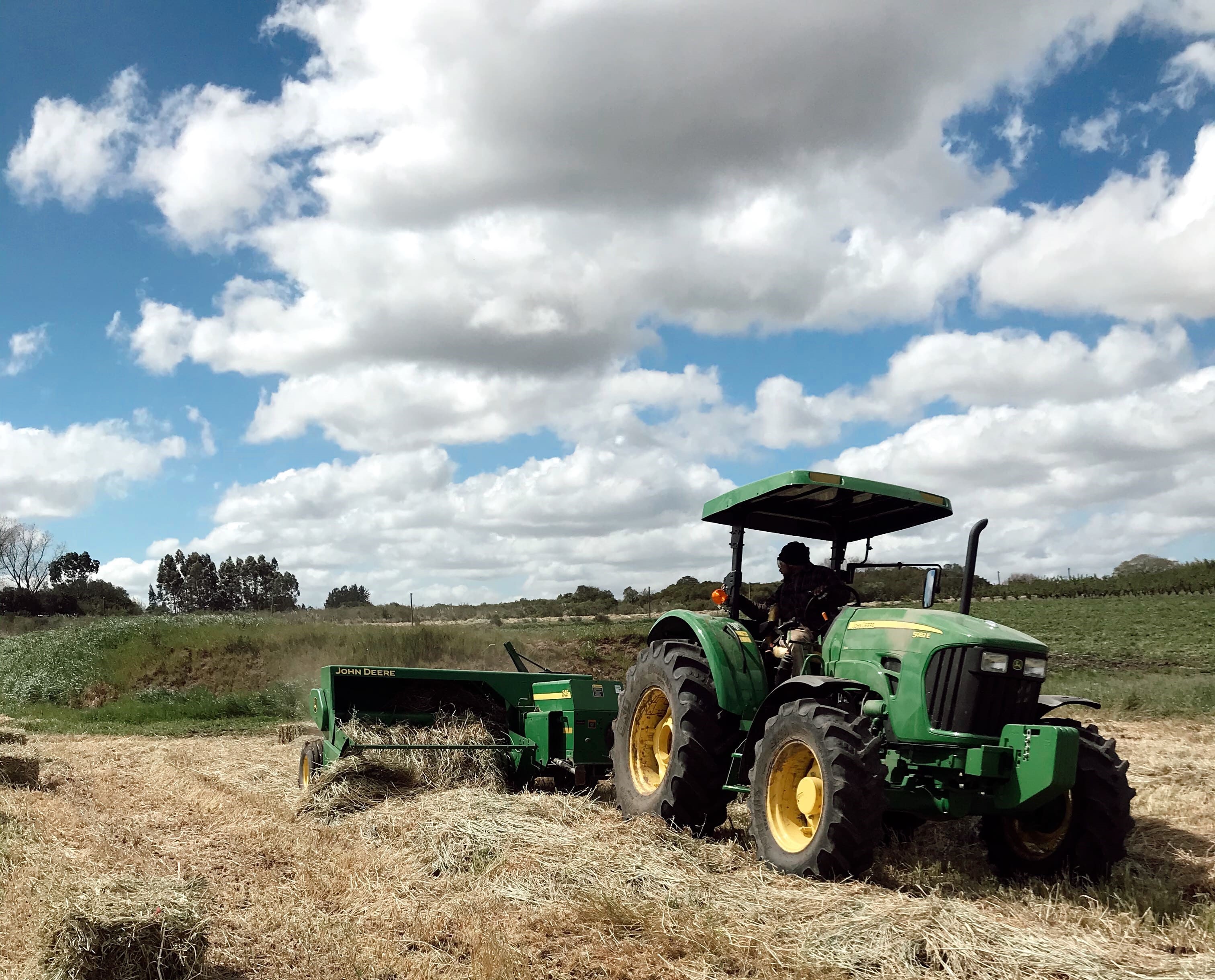 imagen de rural